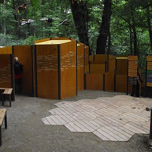 Bee Exhibit
