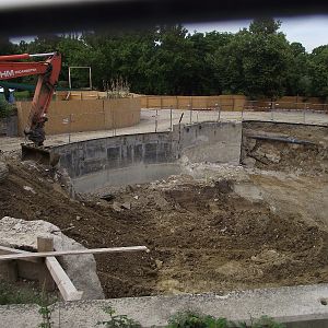New Polar Bear Enclosure Building Work