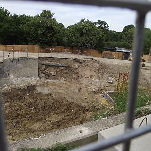 New Polar Bear Enclosure Building Work