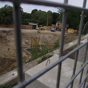 New Polar Bear Enclosure Building Work