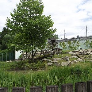 Primate Enclosure