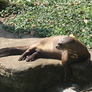 Zoologico de Cali 2012