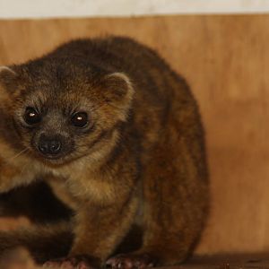 Zoologico de Cali 2012