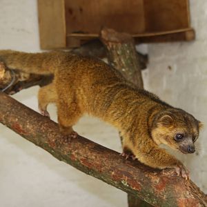 Zoologico de Cali 2012