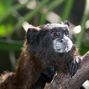 Zoologico de Cali 2012