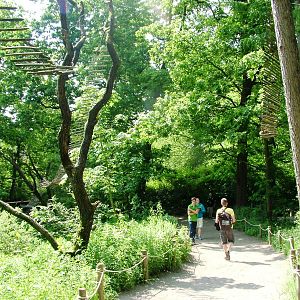 Lemur Walkthrough at Apenheul, 30/05/12