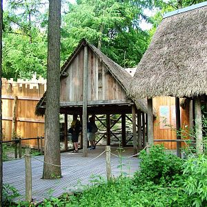 Sclater's Lemur Exhibit at Apenheul, 30/05/12