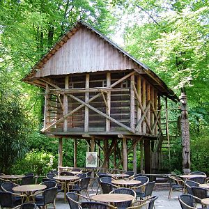 Lorikeet Roost at Apenheul, 30/05/12