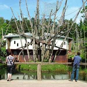 Orang-Utan House at Apenheul, 30/05/12