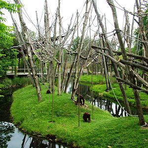 Orang-Utan Islands at Apenheul, 30/05/12