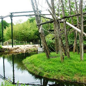 Orang-Utan Islands at Apenheul, 30/05/12