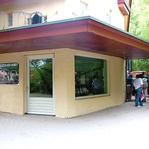 Proboscis Monkey Exhibit at Apenheul, 30/05/12