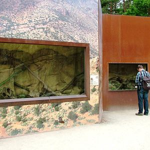 Rodent Exhibits at Apenheul, 30/05/12