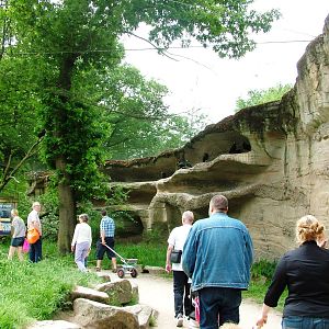 Ibis Aviary at Apenheul, 30/05/12