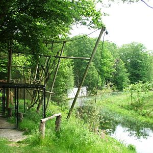 Hornbill Aviary and Gorilla Island at Apenheul, 30/05/12