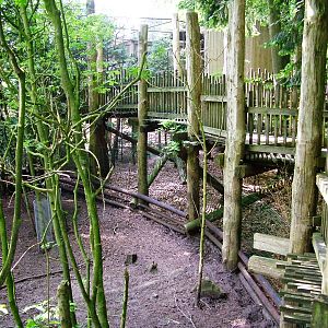 Warty Pig Exhibit at Apenheul, 30/05/12