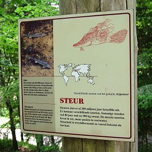 Signage Example at Apenheul, 30/05/12