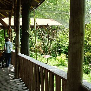 Amazon Aviary at Apenheul, 30/05/12