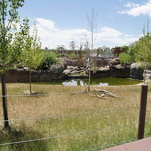 Toyota Elephant Passage