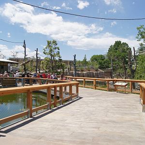 Toyota Elephant Passage