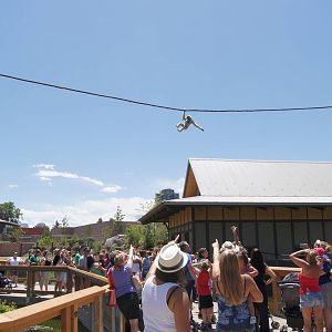 Toyota Elephant Passage