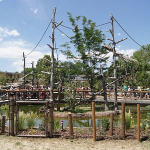 Toyota Elephant Passage