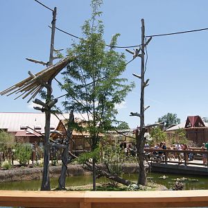 Toyota Elephant Passage