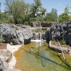 Toyota Elephant Passage