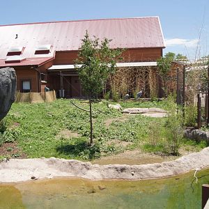 Toyota Elephant Passage