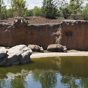 Toyota Elephant Passage