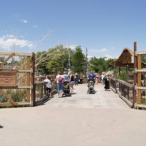 Toyota Elephant Passage