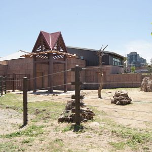 Toyota Elephant Passage