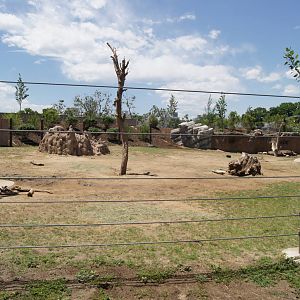 Toyota Elephant Passage