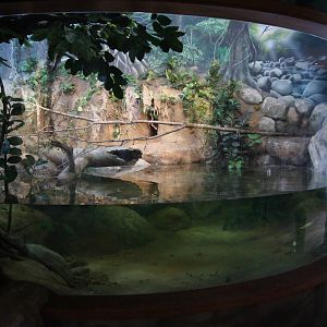 Toyota Elephant Passage