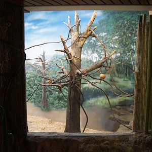 Toyota Elephant Passage