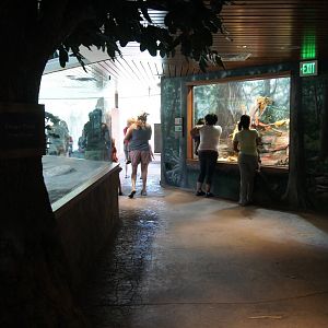 Toyota Elephant Passage