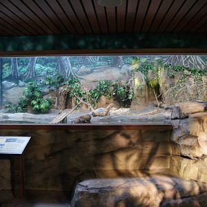 Toyota Elephant Passage