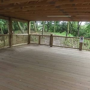 Iberian Wolf exhibit at Blackpool Zoo 16/06/12