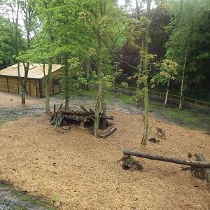 Iberian Wolf exhibit at Blackpool Zoo 16/06/12