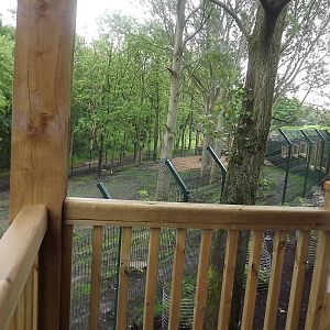 Iberian Wolf exhibit at Blackpool Zoo 16/06/12