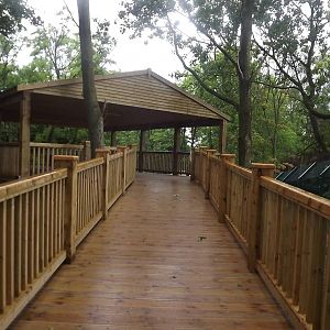 Iberian Wolf exhibit at Blackpool Zoo 16/06/12