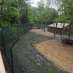 Iberian Wolf exhibit at Blackpool Zoo 16/06/12