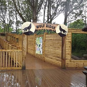 Iberian Wolf exhibit at Blackpool Zoo 16/06/12