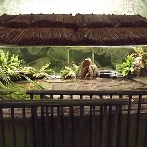 New Vivarium at Blackpool Zoo 16/06/12