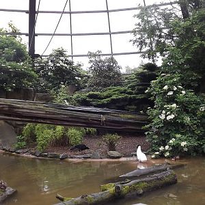 Amazonia at Blackpool Zoo 16/06/12