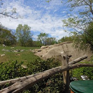 Bronx Zoo- Baboon Reserve- Part 1 of Baboon Reserve Panorama
