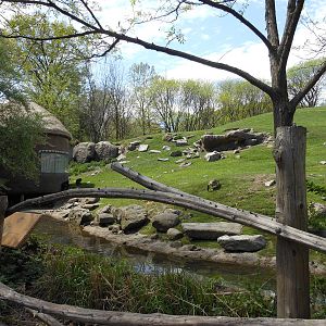 Bronx Zoo- Baboon Reserve- Part 3 of Baboon Reserve Panorama