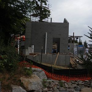 Steller Sea Eagle construction