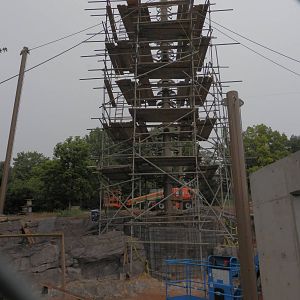 Steller Sea Eagle construction