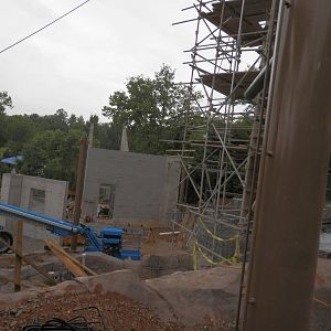 Steller Sea Eagle construction